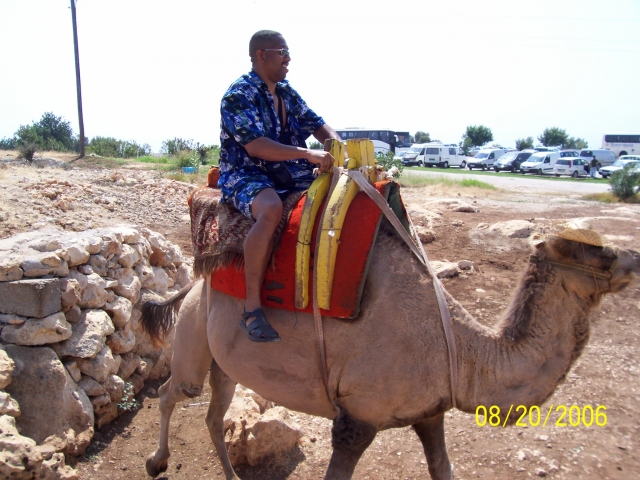 Riding Camels LOL